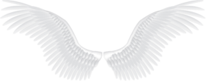 Wings Light No White BG